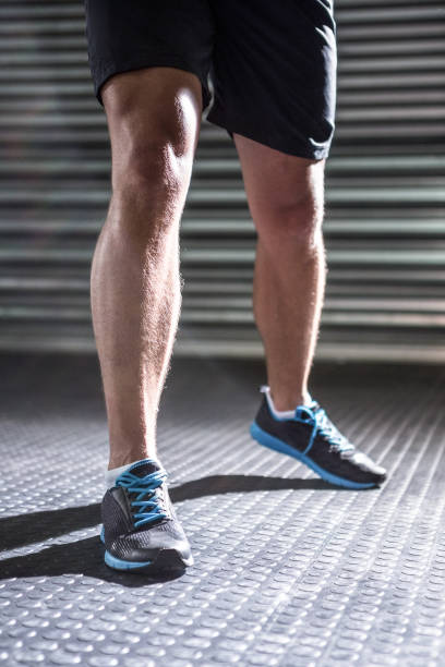 istock Muscular masculine legs 692403618