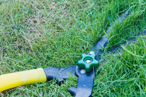 istock Scissors cut grass put in garden 692403844