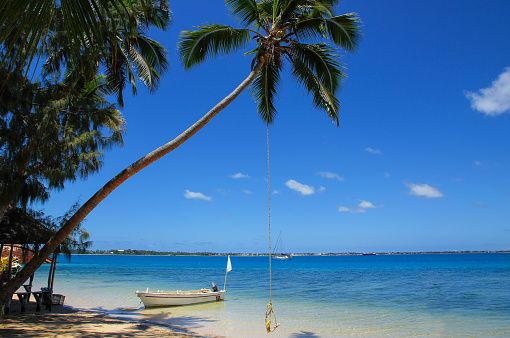 Leaning palm tree with rope swing at Pangaimotu island near Tongatapu island in Tonga. Kindom of Tonga is an archipelago comprised of 169 islands