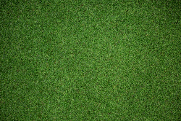 istock Close up view of astro turf 692412226