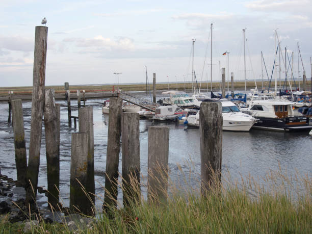 istock island spiekeroog 692412450