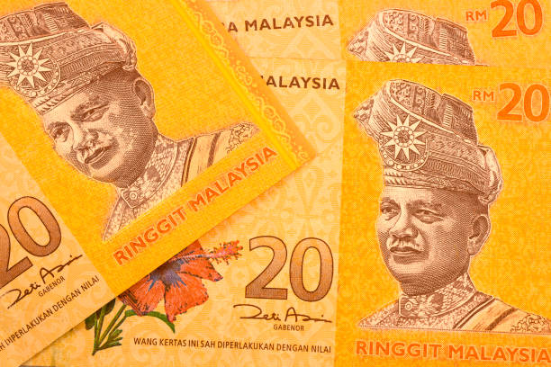 malaysia ringgit banknote hautnah - fifty dollar bill number 50 currency close up stock-fotos und bilder