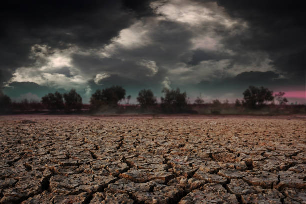 istock Land to the ground dry cracked with storm. 692413086
