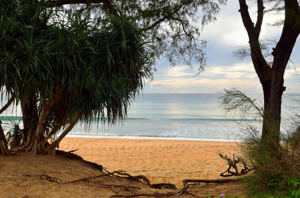 istock Beautiful beach with blue sky at Mai khao beach, Phuket, Thailand 692415686