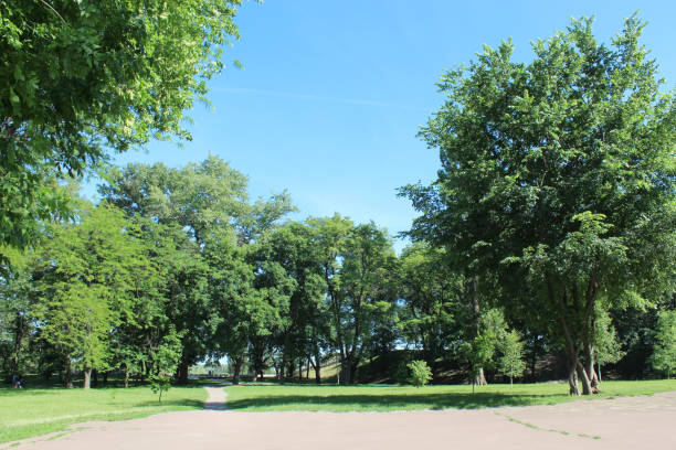 Beautiful park with many green trees