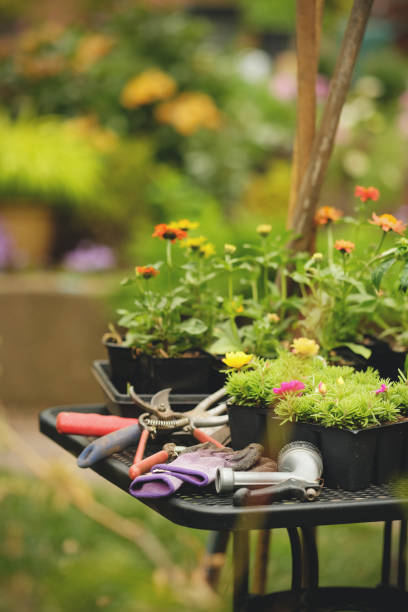 istock Planting Flowers with Gardening Tools 692422136