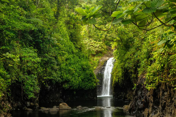 istock Wainibau Waterfall on Taveuni Island, Fiji 692422626