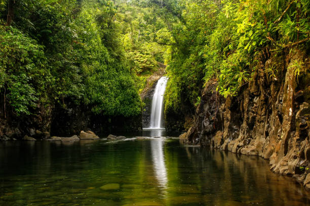istock Wainibau Waterfall on Taveuni Island, Fiji 692422686