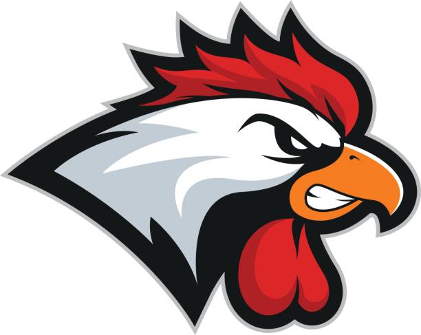 Chicken rooster head mascot 2 - ilustração de arte vetorial