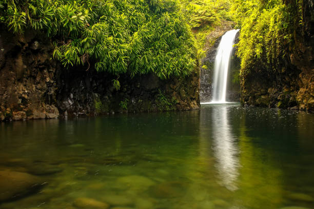 Aerial view of the stunning Levada do Caldeirão Verde waterfall cascading down a lush cliff face, surrounded by vibrant green vegetation in Madeira Island, Portugal, a breathtaking natural wonder