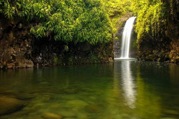 Wainibau Waterfall on Taveuni Island, Fiji Wainibau Waterfall at the end of Lavena Coastal Walk on Taveuni Island, Fiji. Taveuni is the third largest island in Fiji. taveuni stock pictures, royalty-free photos & images