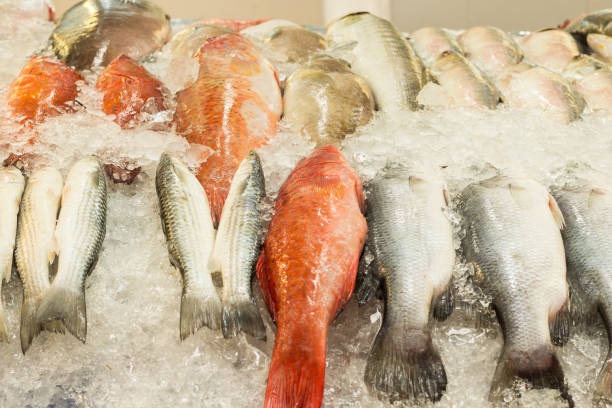 istock Seafood at the fish market 692432538