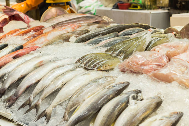 istock Seafood at the fish market 692435912