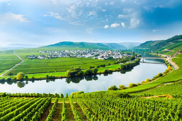 famous Moselle Sinuosity in Trittenheim, Germany with blue sky
