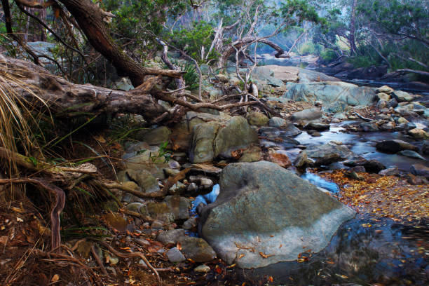 Close-up of water flowing through pebbles in stream
