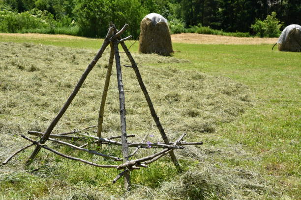 istock stocked hay on the meadow 692441928
