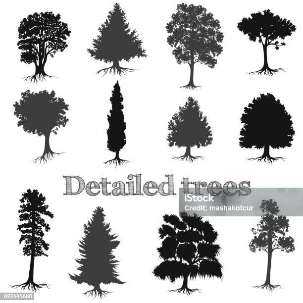 Collection Of Vector Detailed Hand Drawn Trees Silhouettes For Design Stock Illustration - Download Image Now