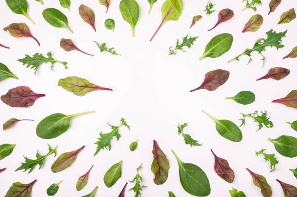 istock Frame made of different salad leaves on white surface. Salad leaf background. Flat lay, top view 692453264