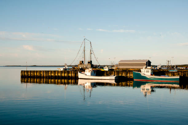 istock Louisbourg Harbor - Nova Scotia - Canada 692465570