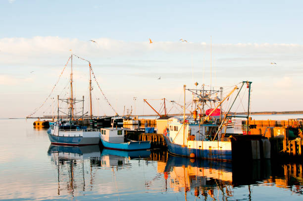 louisbourg hafen - nova scotia - canada - louisbourg stock-fotos und bilder