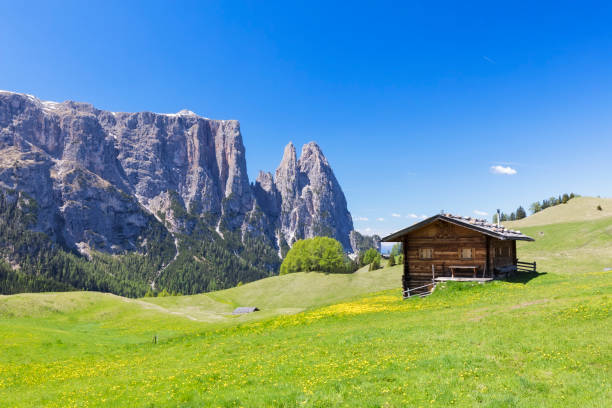 istock Alpe di Siusi at Springtime - Mount Schlern in background 692486830