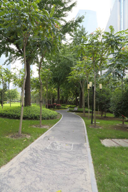 istock park lane at city 692489490