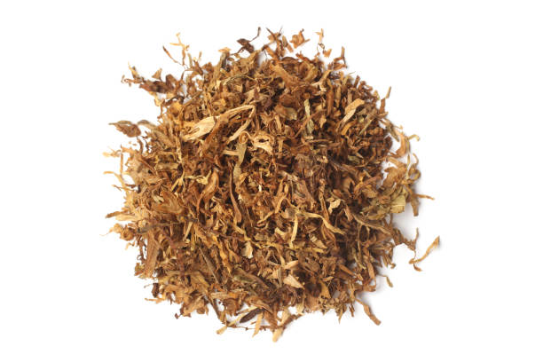 istock Dried smoking tobacco 692492720