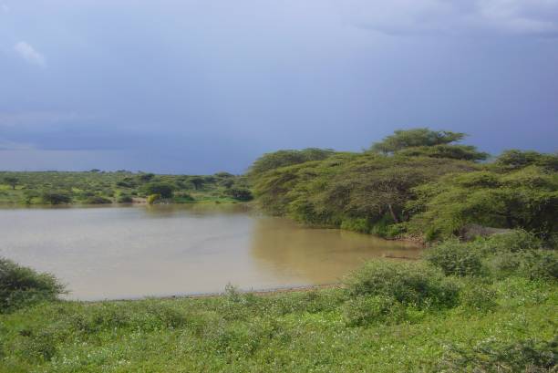 istock Serengeti - A wildlife paradise II 692496384