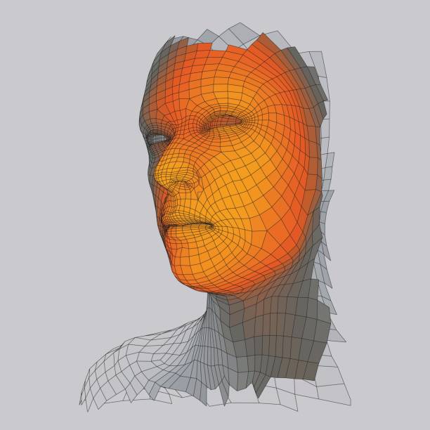 istock Head of the Person from a 3d Grid. Vector Illustration. 692496808