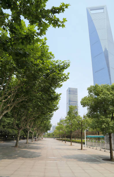 istock Pudong Lujiazui Shanghai 692499274