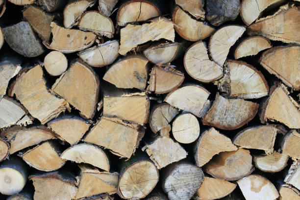 istock Winter stock stacked timber 692502574