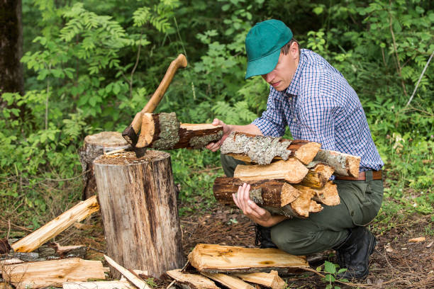 istock man chopping wood in the forest 692503822