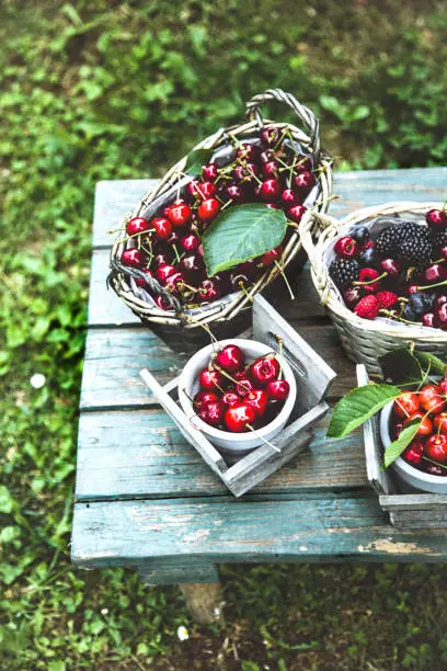 Fresh forest fruit on wood. Fresh organic fruit. Red cherries, blueberries and blackberries