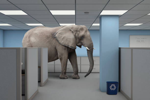 l’éléphant dans la pièce de travail bureau - éléphant photos et images de collection