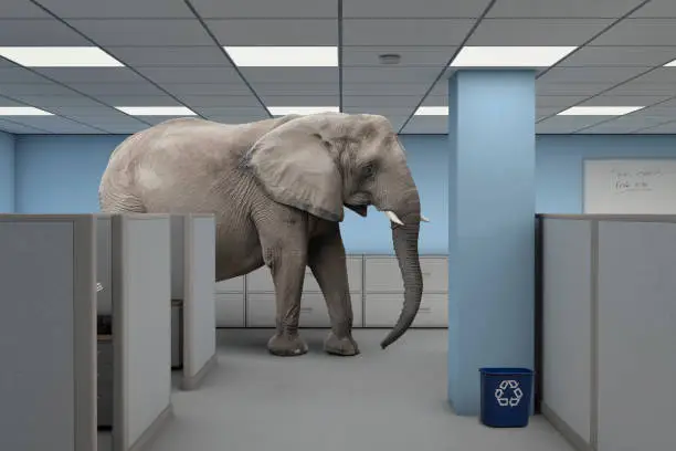 Elephant in the Room - An elephant standing in office building between rows of cubicles.