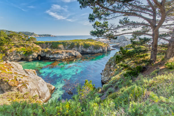 Point Lobos State Reserve at Highway 1 in California Point Lobos State Reserve at Highway 1 in California. You see a Long Exposure of a Bay on a sunny day. point lobos state reserve stock pictures, royalty-free photos & images