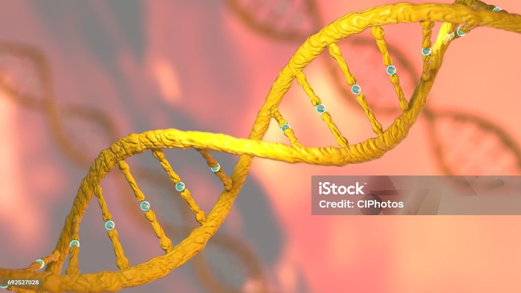 Concept of biochemistry with DNA molecule Concept of biochemistry with DNA molecule DNA sequencing Protein,  cancer gene research, CRISPR Research and gene editing 3D render DNA Stock Photo