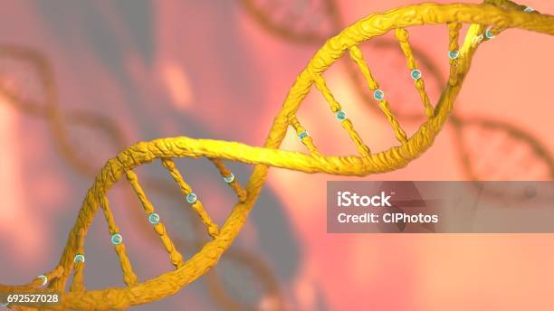 Concept Of Biochemistry With Dna Molecule Stock Photo - Download Image Now - DNA, CRISPR, DNA Sequencing Gel