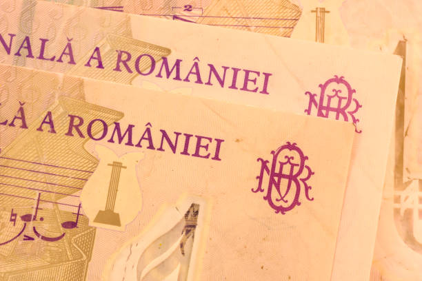 istock Close up Romanian currency note, LEI or LEU, Romania 692529926