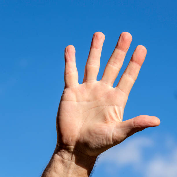 istock male hand rised against blue sky 692533960