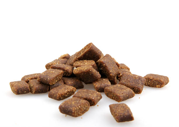 istock Dried dog food 692536748
