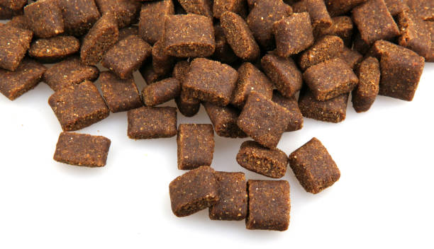 istock Dried dog food 692536770