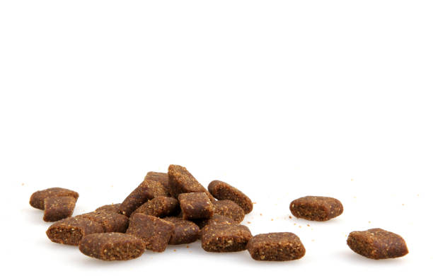 istock Dried dog food 692536772