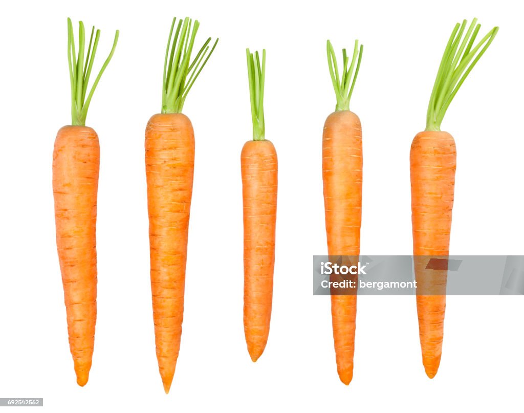 carrot carrot isolated Carrot Stock Photo