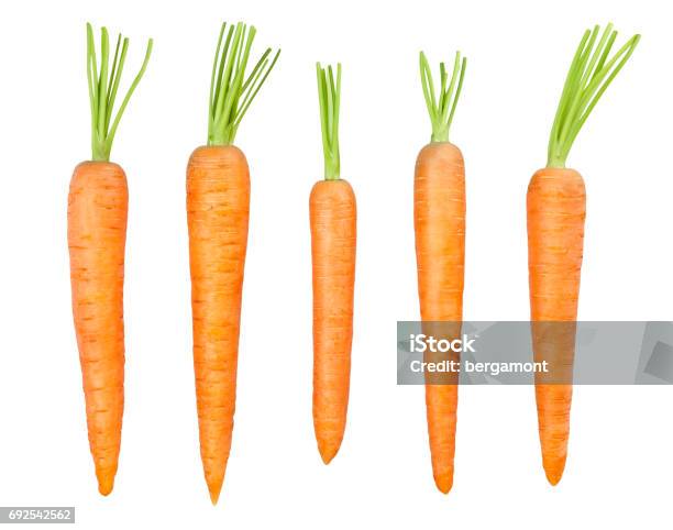 Carrot Stock Photo - Download Image Now - Carrot, White Background, Cut Out