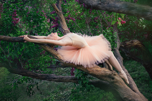 Tender and romantic ballerina woman relaxing and lying on a tree branch in green flowers garden at sunset. Concept of female tenderness and harmony