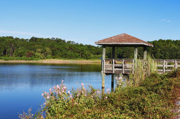 istock Huntington Beach State Park landscape. 692564328