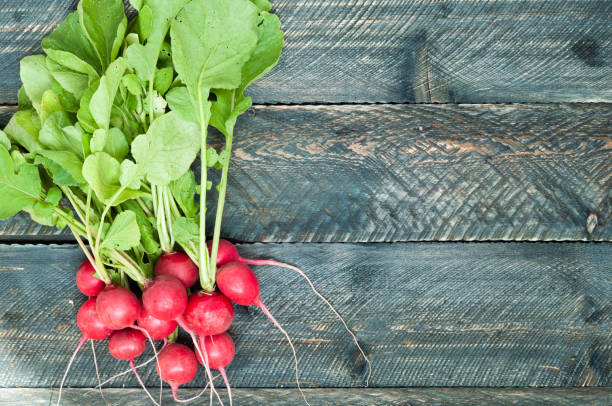 istock Fresh radish on old wooden table. Radish background. Rustic 692567472