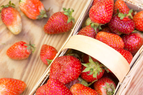 istock organic strawberries in basket 692570280