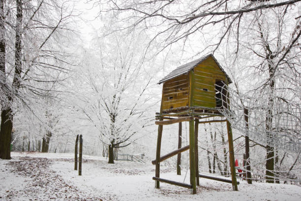 istock Winter landscape in the park with the trees covered with white snow. 692578092